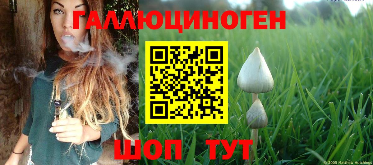 Семилуки  Галлюциногенные грибы MAGIC MUSHROOMS  Вход с VPN 