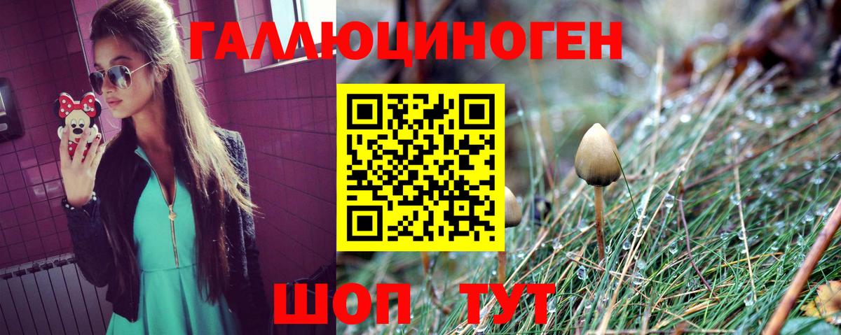 Галлюциногенные грибы Psilocybe Семилуки